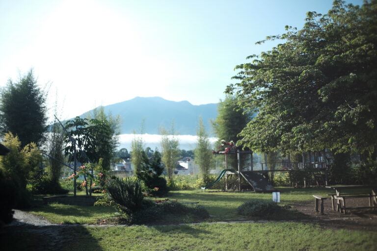 DSCF8101